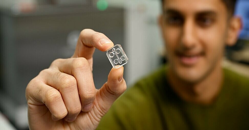 Cancer-on-a-chip technology advances our understanding of how cancer ...